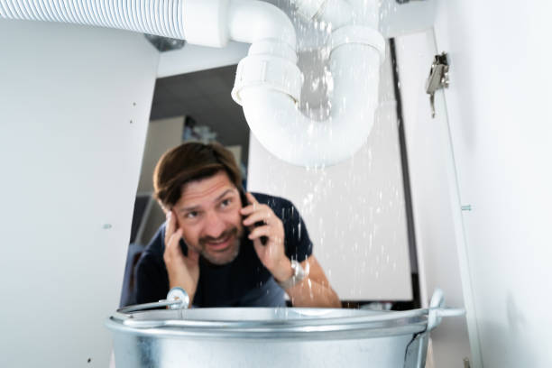 Best Local Plumber Services  in Bridge City, TX